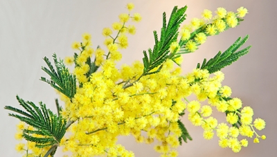 С самым Женским Днем!